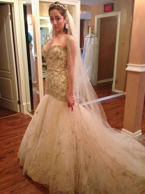 Opinions needed for a dress...UPDATE!  =)