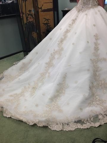 I said Yes to the dress!  Now the veil...lol