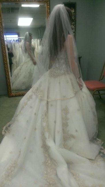 I said Yes to the dress!  Now the veil...lol