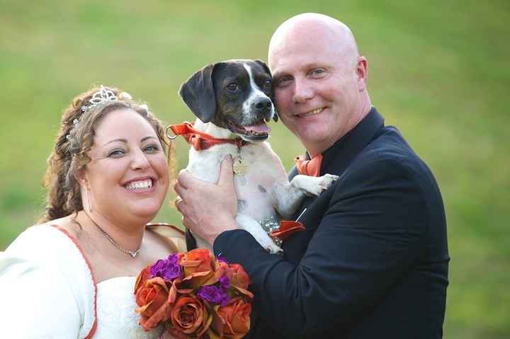 I'm in love with this photo despite having issues with photographer