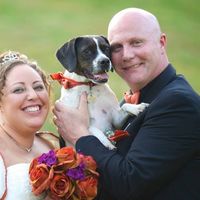 BAM Biddy BAM (Pro Pics)