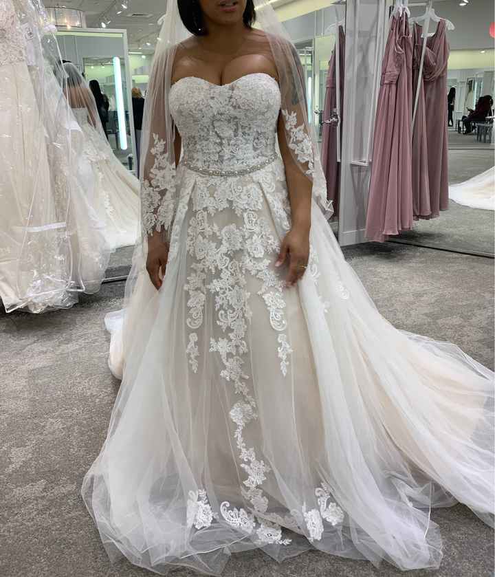 Dress shopping day 1 - 4