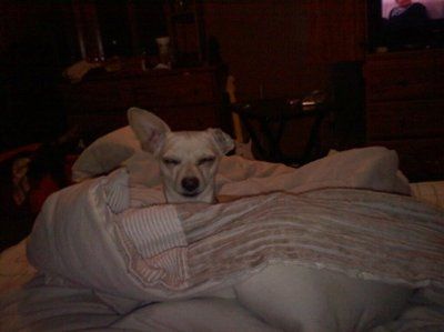 NWR: Show off your fur baby!