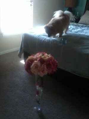 Centerpieces done & ordered... do I need submergible LED lights?