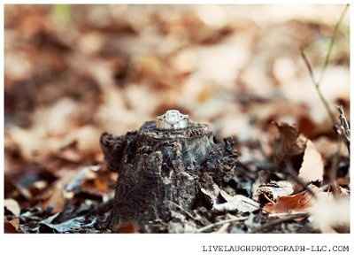 There's been a request ... show us them rings!