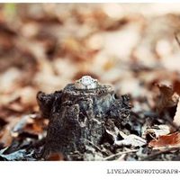 There's been a request ... show us them rings!