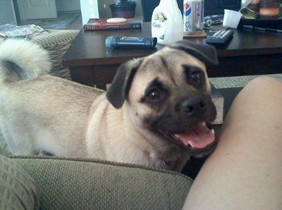 Show us your pets!