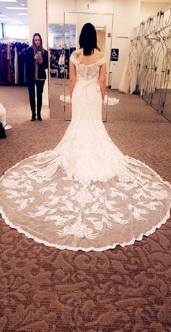 Continuing Dress Saga 2