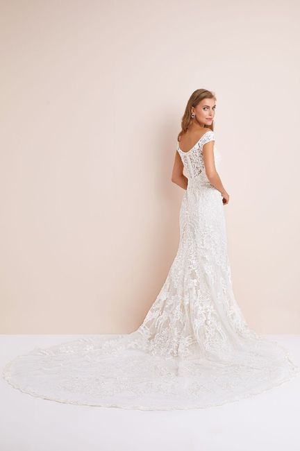 Where Did You Purchase Your Dress? - 2