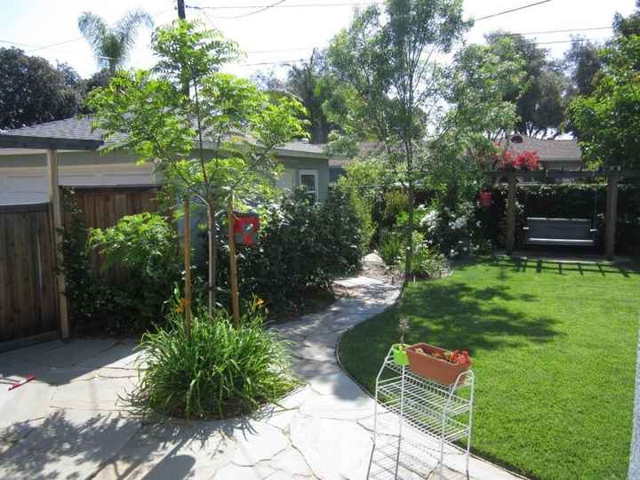 Backyard Reception it is! (Pics included)