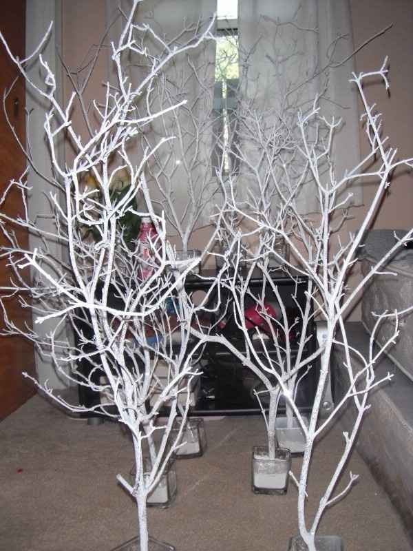 Anyone tried making these indoor trees? Pic