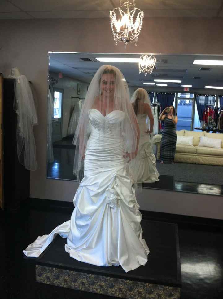 I said YES to the DRESS!!!! (pics)