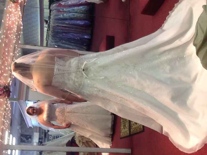 I found the dress!! (Pic)