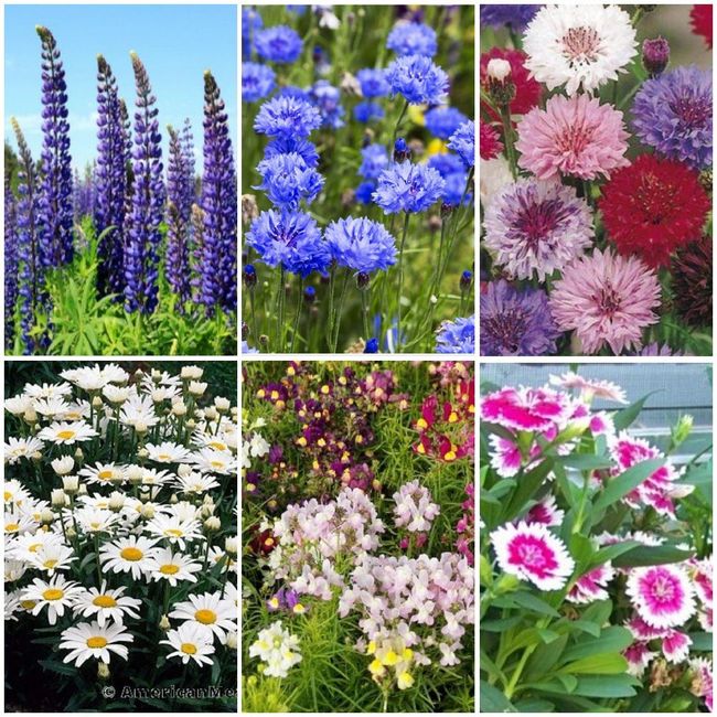 Not wedding related fun 2