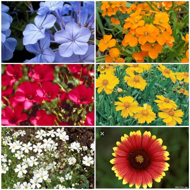 Not wedding related fun 3