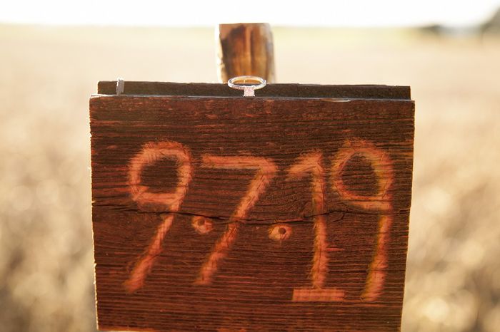 Not wedding related fun 4