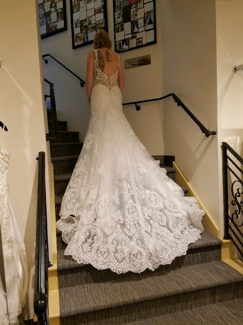 Say yes to the sexy dress?! - 3