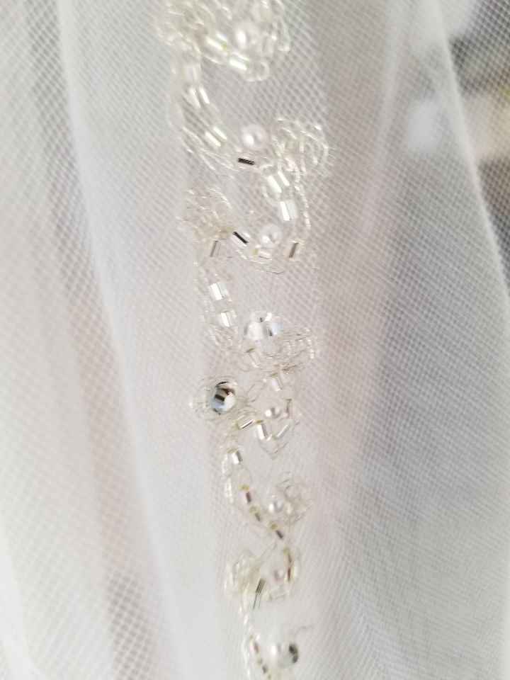 Show Me Your Veils! - 1