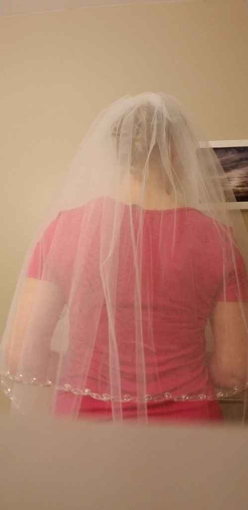 Show Me Your Veils! - 2