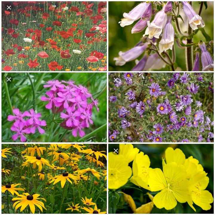 Not wedding related fun - 1