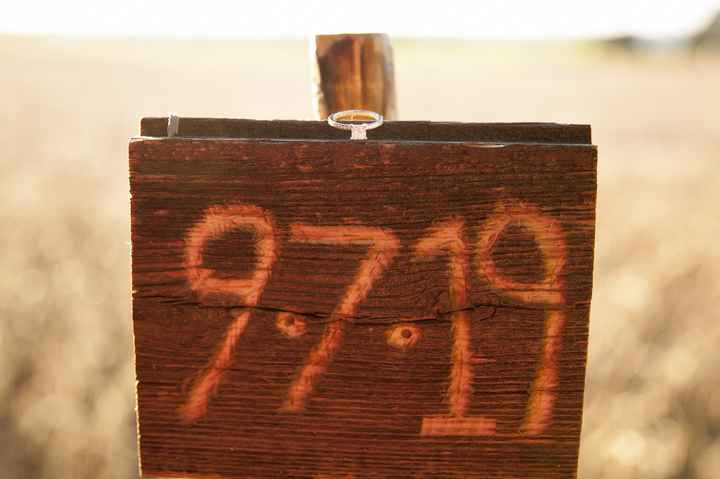 Not wedding related fun - 4