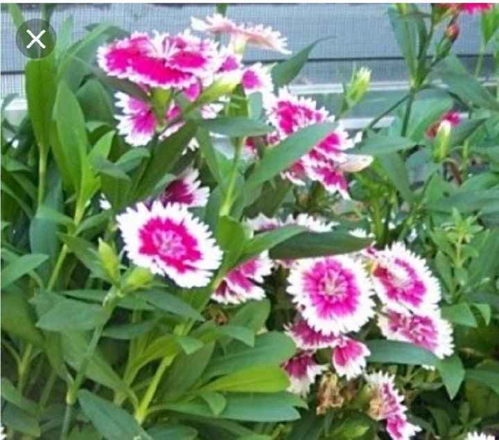 Not wedding related fun - 1