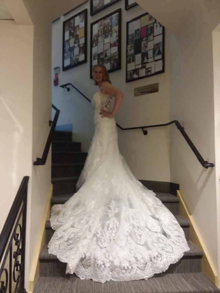 My dress is in!!! - 2