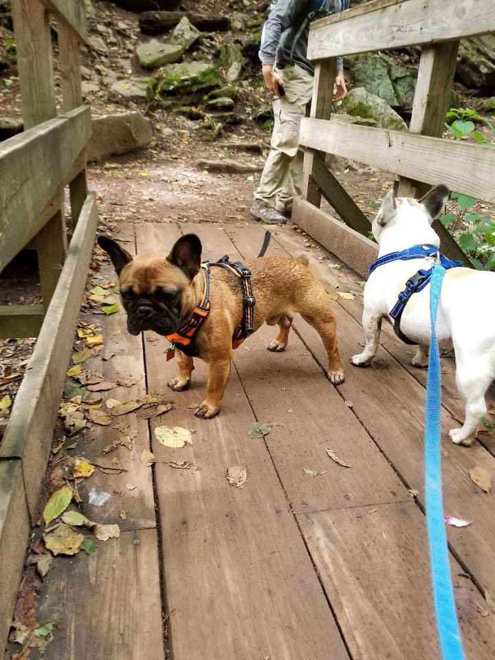 One year ago! Ring thread. - 4