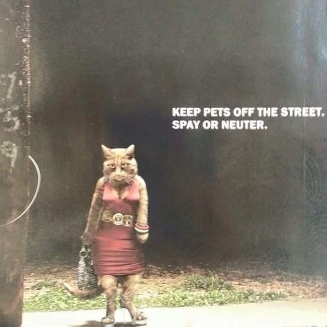 NWR - Rant about irresponsible pet owners.