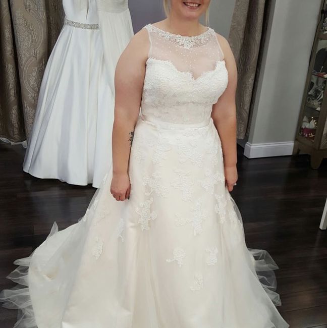  i want to say yes to the dress... - 1
