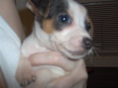 NWR: Lets see our pets!!