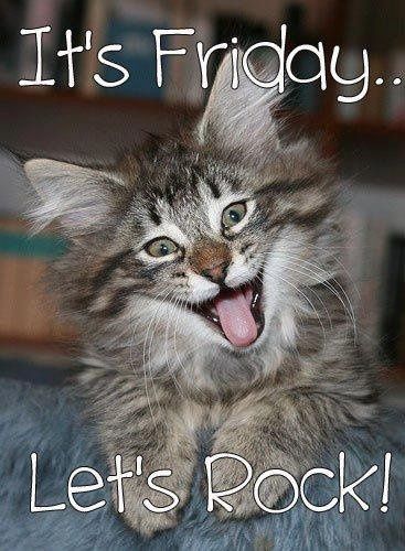 Why are there no Friday animal funnies?