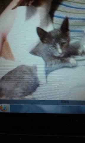 NWR- Named our furbaby....