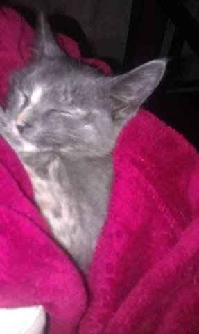 NWR- Named our furbaby....