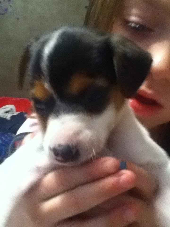 NWR- FH brought home 3 puppies