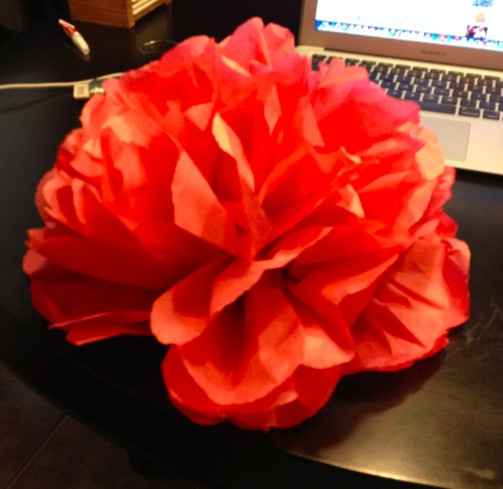 Look at my tissue paper poms!!! (pic) OMG CUTE!!!!
