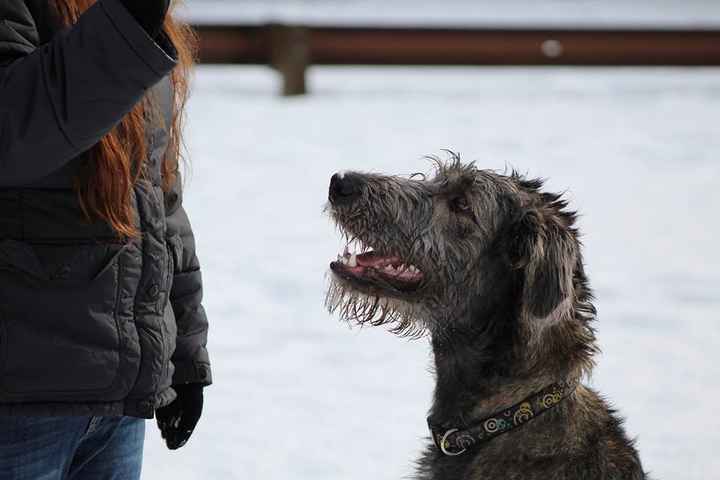 NWR: you and furbaby pic!