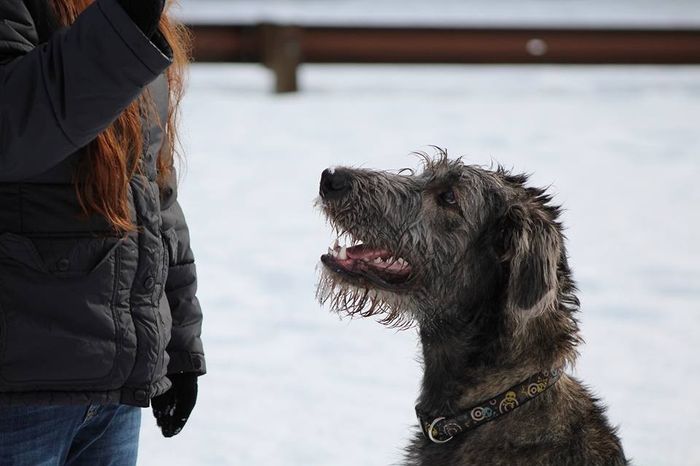 NWR: you and furbaby pic!