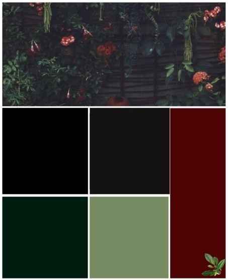 What are your wedding colors??