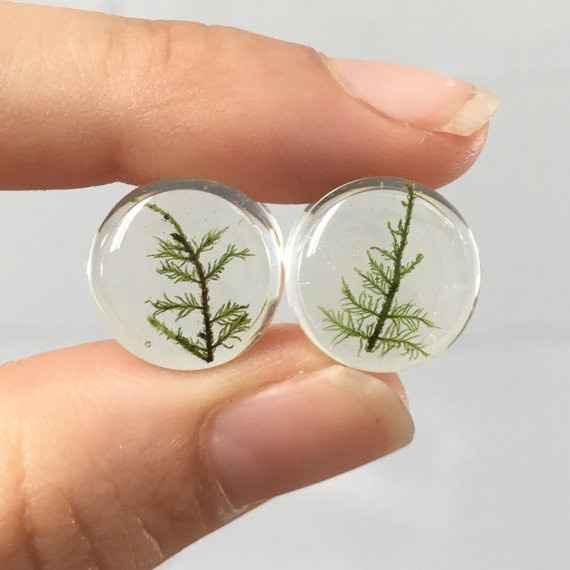 Any brides with stretched ears out there?