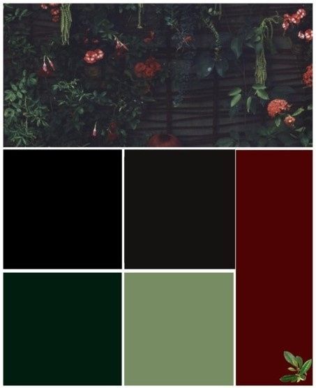 What are your wedding colors??