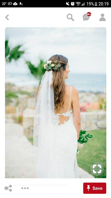  Veil or no veil? - 1