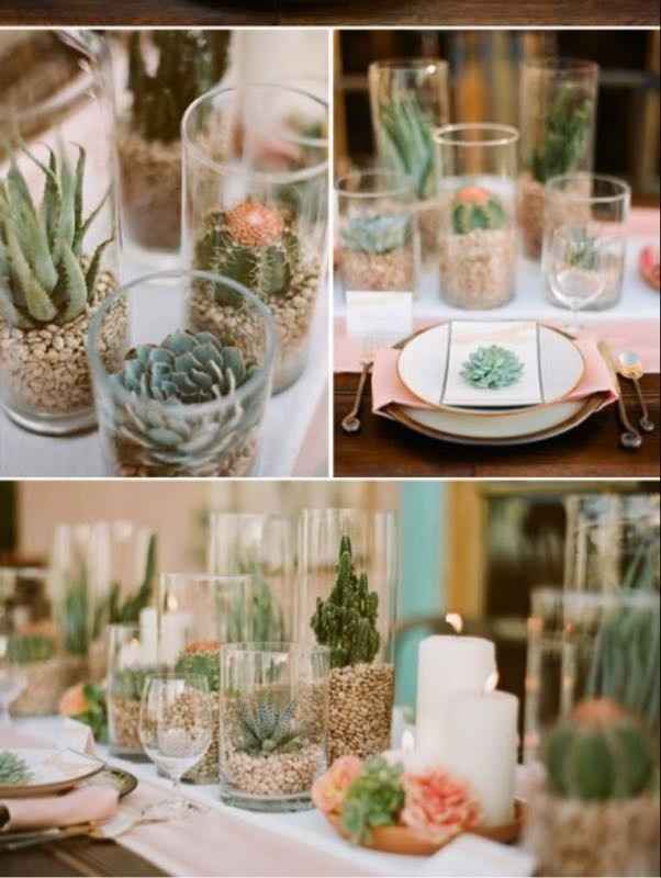 Succulents!!