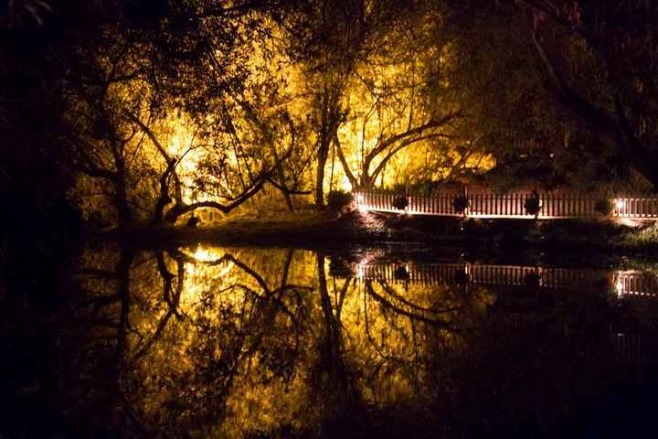 Not Engaged Anymore..