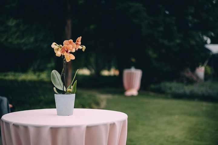 Sunday Brunch Garden Wedding Pro BAM