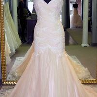 Dress shopping pictures!!!!!