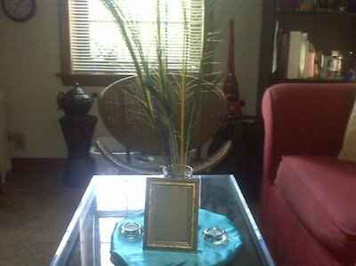 My centerpieces idea