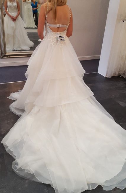 dress 1 back