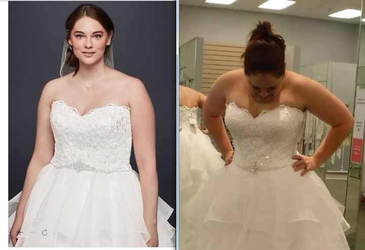 Any size 12/14 brides care to share?
