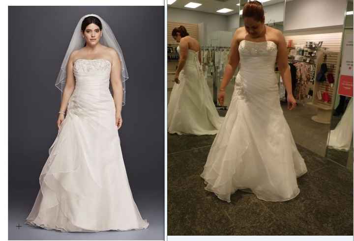 Any size 12/14 brides care to share?